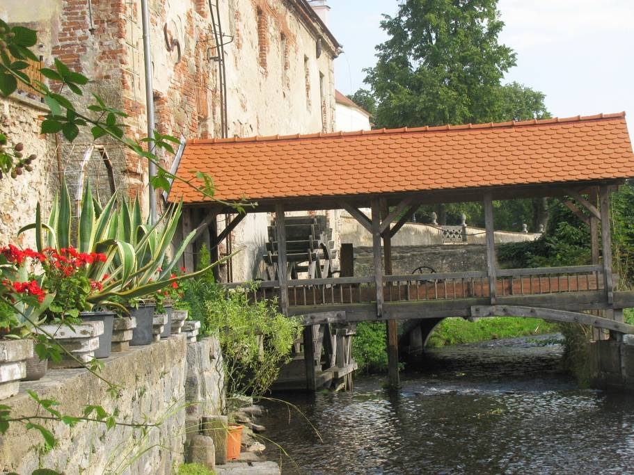 Prachtig aangezicht in de achtertuin van onze Airbnb